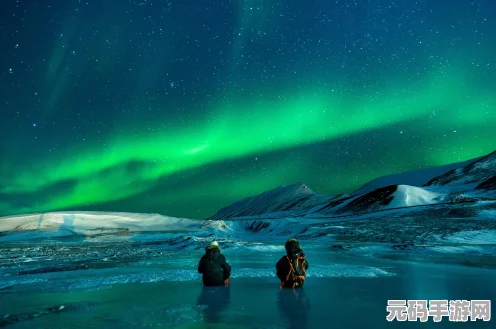泰拉瑞亚霜月盛宴，解锁冒险之旅的璀璨星辰