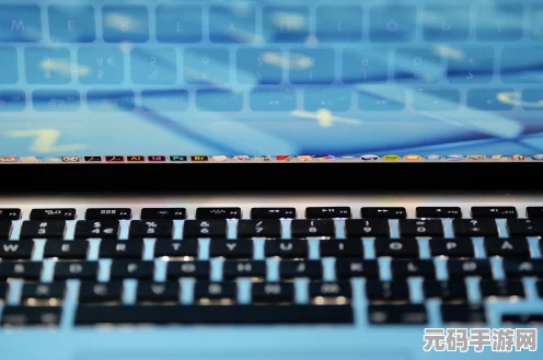 太阁立志传 4 修改器的详细使用指南
