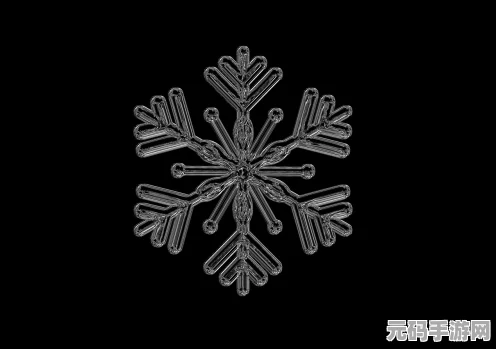 龙之国物语探索冰晶雪原，揭秘雪花神秘位置