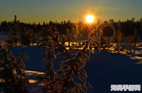 龙之国物语探索冰晶雪原，揭秘雪花神秘位置