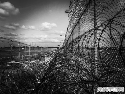 饥荒联机版，全友善生物捕捉秘籍大公开
