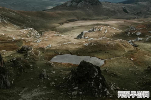 流放之路探险指南，揭秘第四章第2关通关秘籍