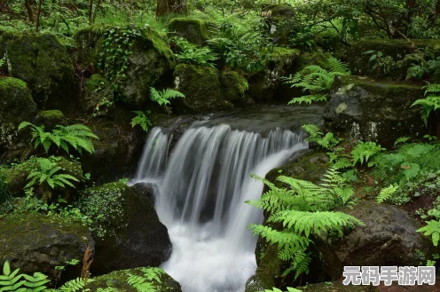 江南百景图探险秘宝，桃花泪获取全攻略