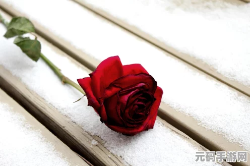 蛋仔派对浪漫升级，揭秘真爱玫瑰的多样获得途径