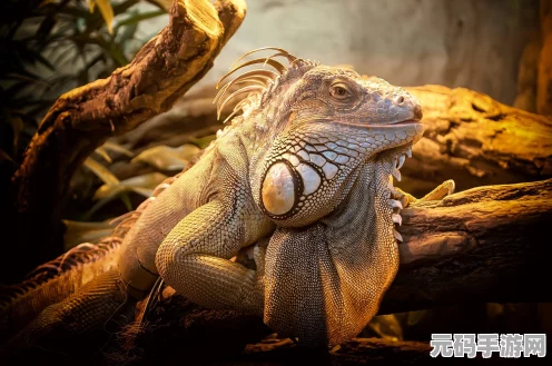 我的世界僵尸生物图鉴，全面属性深度探索