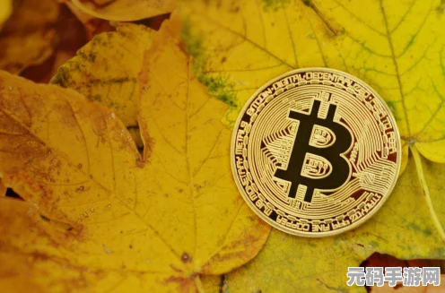 波西亚时光，矿石秘境之旅，全面探索与获取攻略大公开