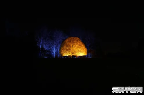 艾尔登法环，深度解析瑟濂 探索其神秘面纱