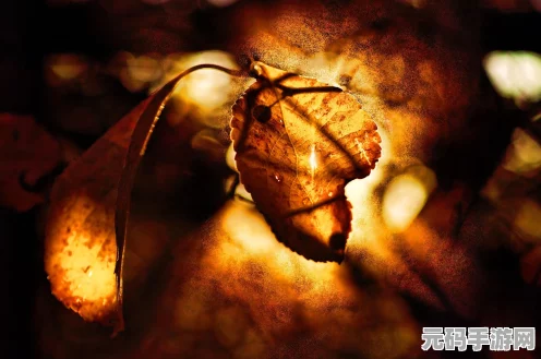 光遇风行季雨林探险，季节蜡烛分布位置全揭秘