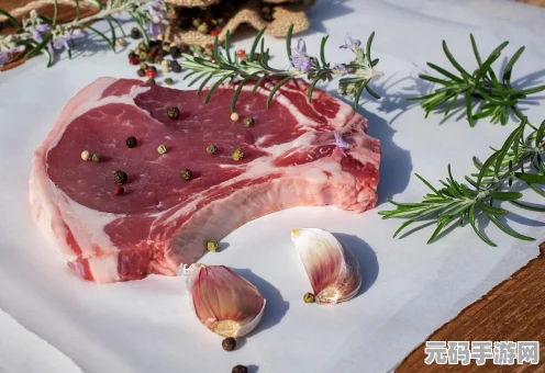 摩尔庄园美食奇遇，揭秘花椒狗鱼片烹饪的匠心之旅