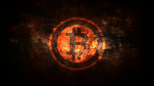 棕色尘埃 2格雷技能深度解析与实战运用攻略