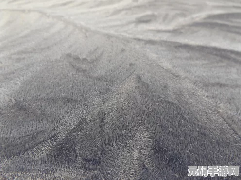 潜行者 2鹅卵石超自然体形成地点全揭秘