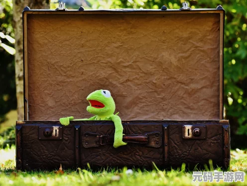 旅行青蛙探险之旅，揭秘物品道具的奇妙用法