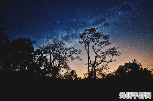 烟雨江湖浪漫启航，七夕观星任务全攻略揭秘