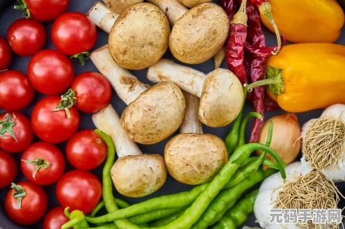宝可梦朱紫百廉家庭餐厅料理效果全解析
