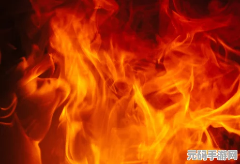 泰拉瑞亚探险新揭秘，顶尖远程武器与弹药大比拼