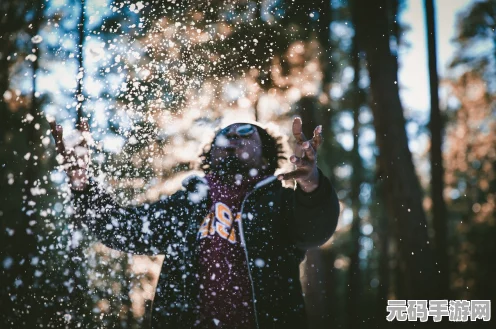 少年歌行风花雪月手游，无心强度全解析