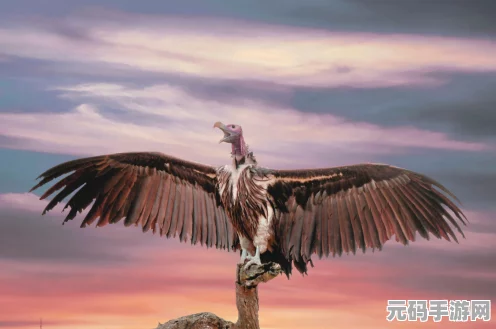 黎明之光，探索无限可能，你的职业之选！