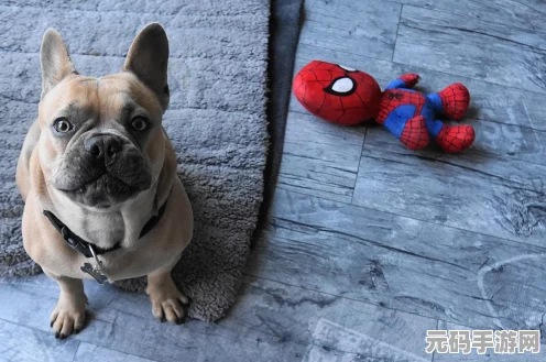 活侠传，被煮的狗结局达成全攻略