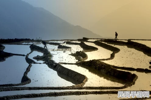 木筏求生羊毛获取与修剪全攻略