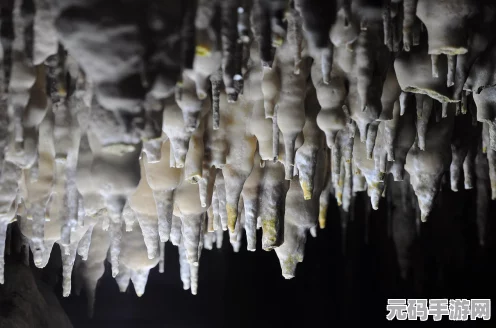 泰拉瑞亚绿矿石奇遇，解锁神秘宝石的探险之旅