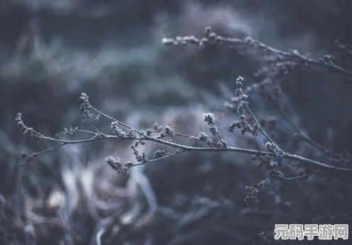 怪物猎人世界，揭秘无击珠的高效刷取策略