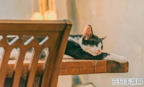 天天酷跑掀起新热潮，有龙则灵有猫则萌活动福利大揭秘