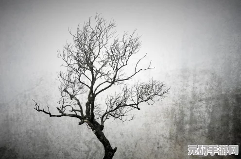 剑与远征探险新篇，揭秘破碎浮廊的奇幻之旅