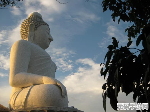 原神因果命运的花神诞祭，探索须弥城的奇妙冒险