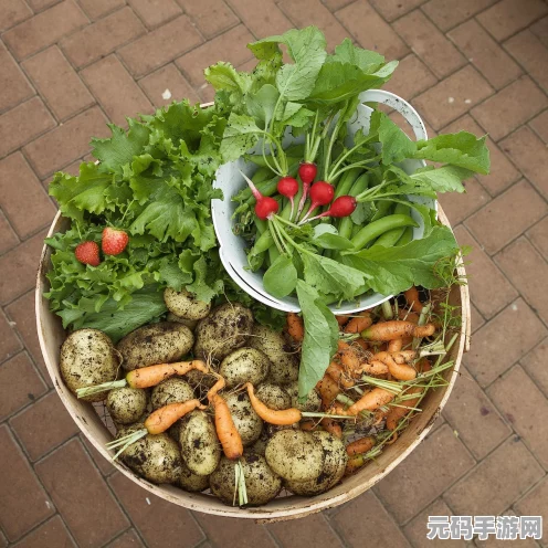食物语松鼠鳜鱼养成攻略，打造你的单体爆发王者