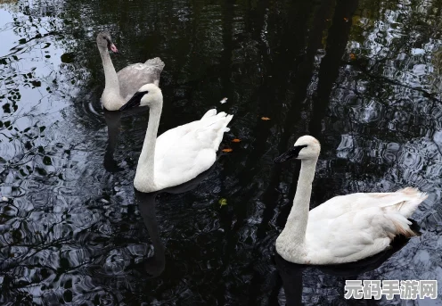鹅鸭杀新手必看！鹅角色制胜策略全揭秘第一弹