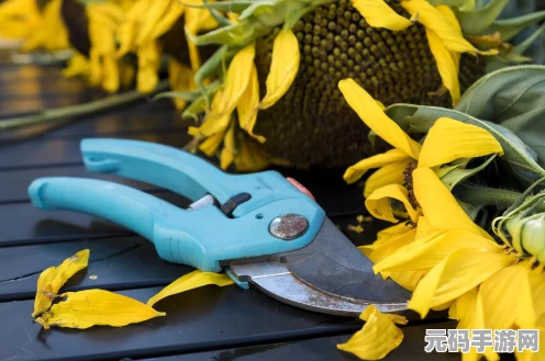 怪物猎人世界热门武器揭秘，花朵之刀II图鉴、属性及素材全攻略