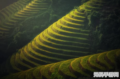泰拉瑞亚探险新揭秘，独眼巨鹿掉落物全解析