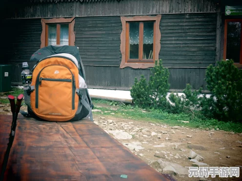 迷你世界探索之旅，揭秘紫荧石的神秘所在