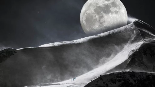 星球重启雪竹笋采集指南，解锁拉贡雪山的珍稀食材