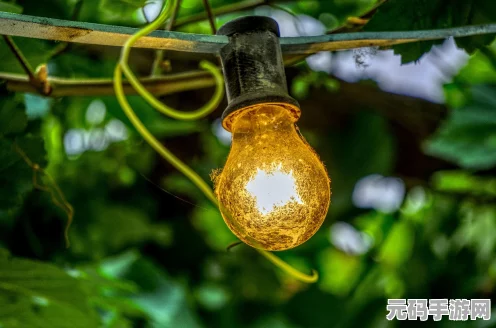 光遇暮土赏花秘境揭秘，绝美赏花点全攻略