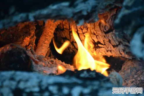 火焰纹章，风花雪月新手福音，七门秘术助你驰骋战场