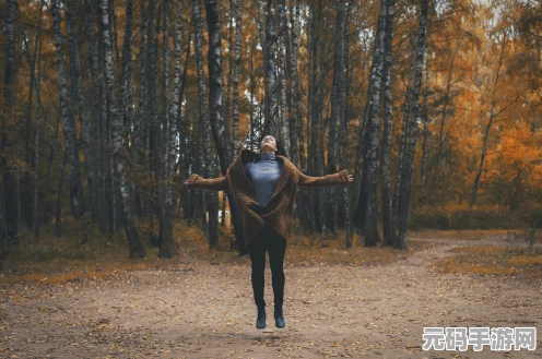 炉石传说女巫森林探险，新卡全揭秘与战术展望