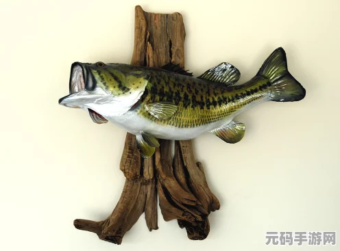和平精英，探寻锦鲤的神秘踪迹，解锁钓鱼新乐趣