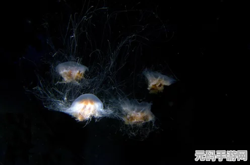 海洋生存射击新纪元，The Last Caretaker今夏震撼登场