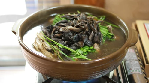 摩尔庄园，美食奇遇记，浆果浓汤秘籍大公开！