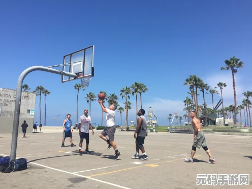 排球少年，新的征途燃情上线，热血青春再续新篇章