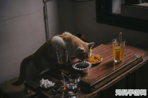 梦境侦探美食大赛，寻找神秘猫咪的奇妙之旅