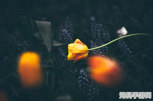 无限暖暖花愿镇路灯修理点，一场点亮夜空的奇妙之旅