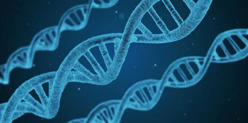 2025热门游戏主角风云榜，生物实验室揭秘与拳皇世界角色巡礼