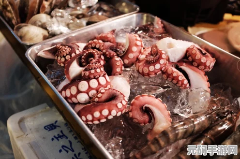 原神美食探索新篇章，嘟嘟莲海鲜羹烹饪秘籍大公开