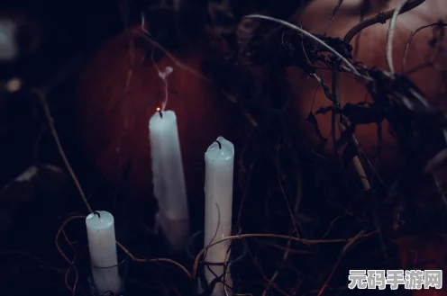 光遇世界探索，揭秘献祭技巧，助你红蜡烛满载而归