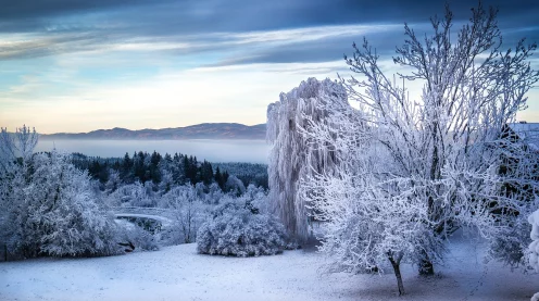 原神冬日奇遇，诞于雪中雪人特遣队位置全揭秘
