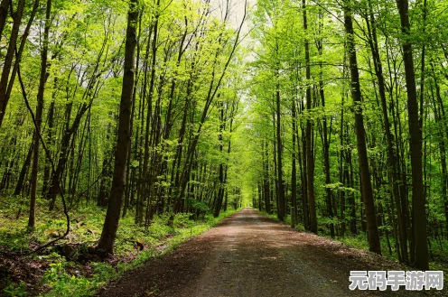 Xbox第一方大作Everwild开发稳步前行，玩家期待值持续攀升