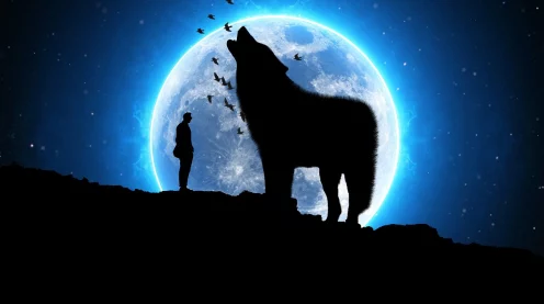 原神玩家必看，幽光星星采集路线全攻略