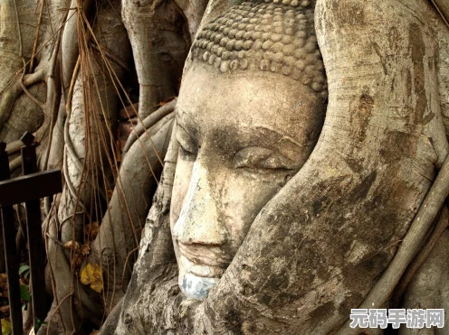 王者荣耀，项羽苍穹之光，闪耀战场的金色传说
